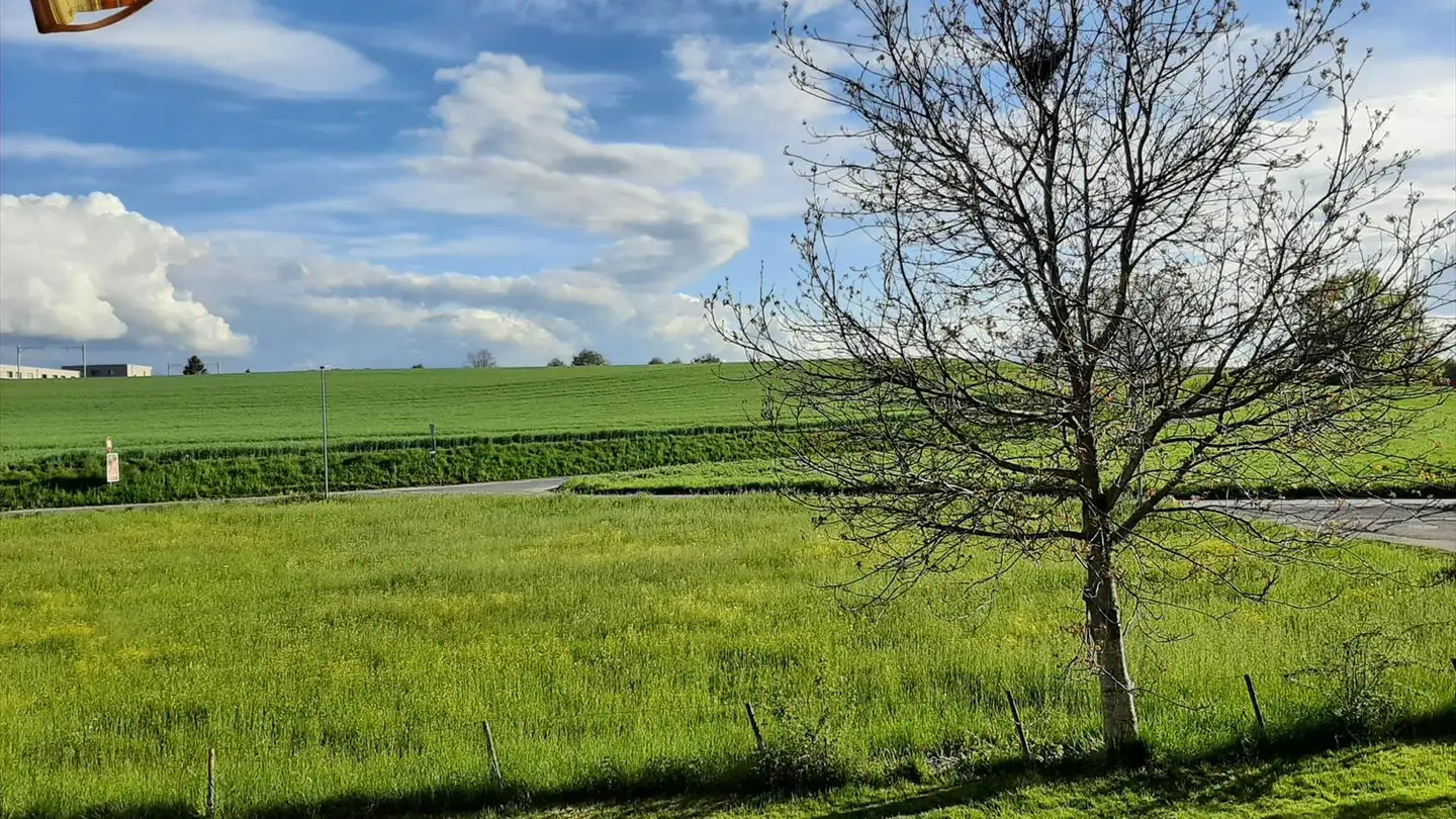 Wohnung mieten - Obermattweg 31, 3186 Düdingen