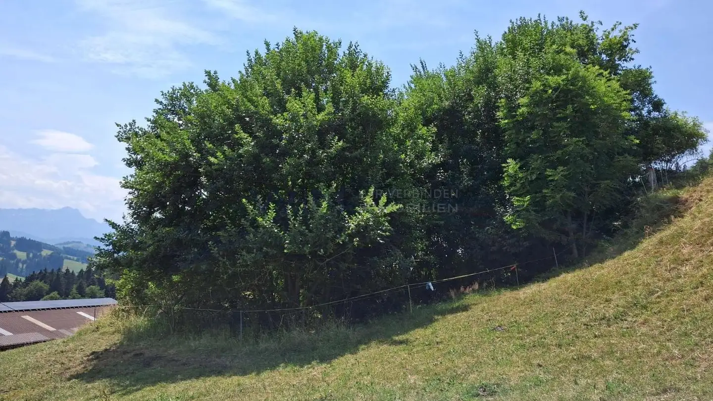 Constructible plot for sale - 9042 Speicher - Photo 2