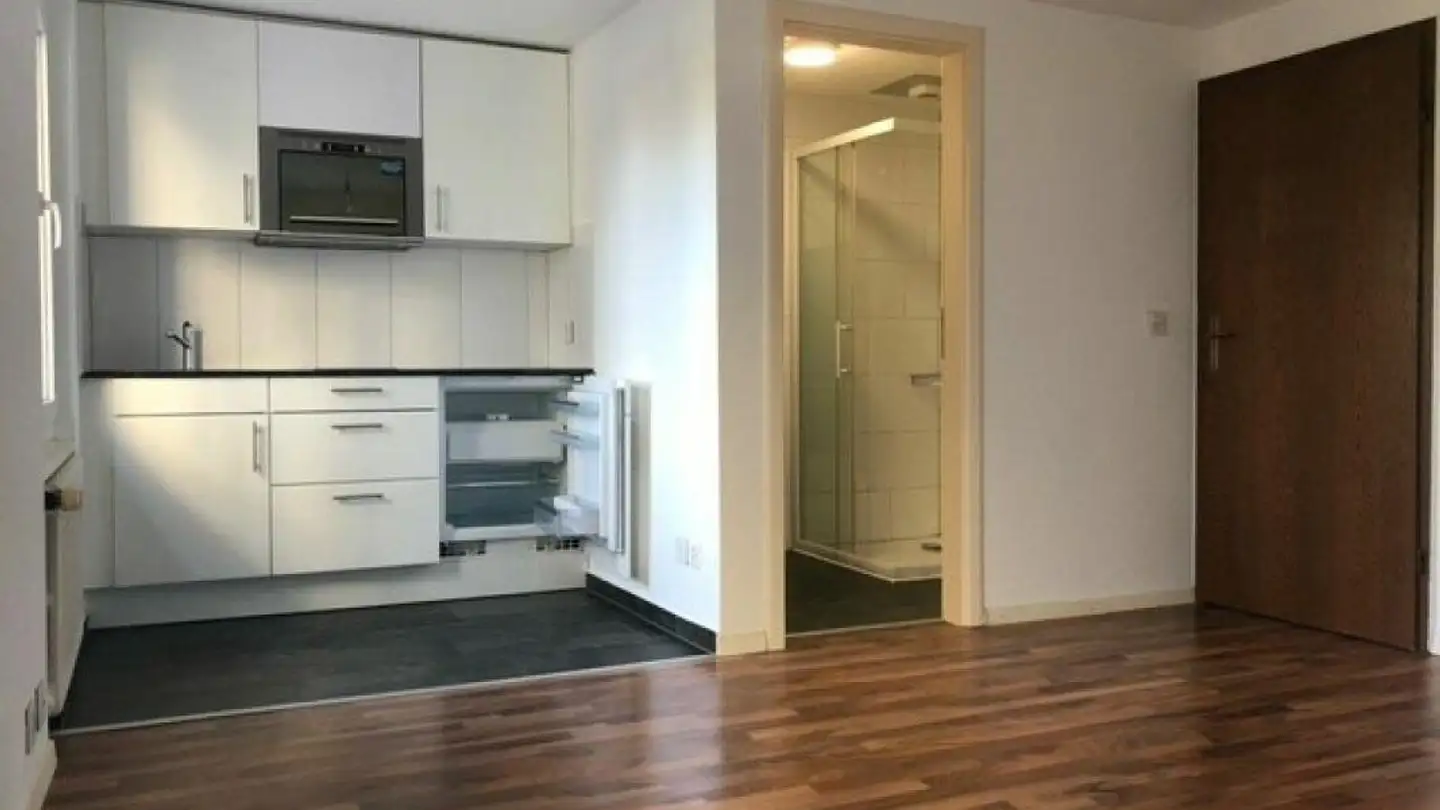 Studio in affitto - Grenzstrasse 16a, 9430 St. Margrethen SG - Photo 2