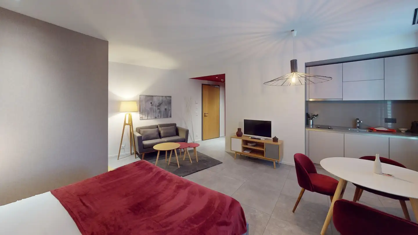 Möblierte Wohnung mieten - Rue De Lausanne 47, 1201 Genève - Foto 4