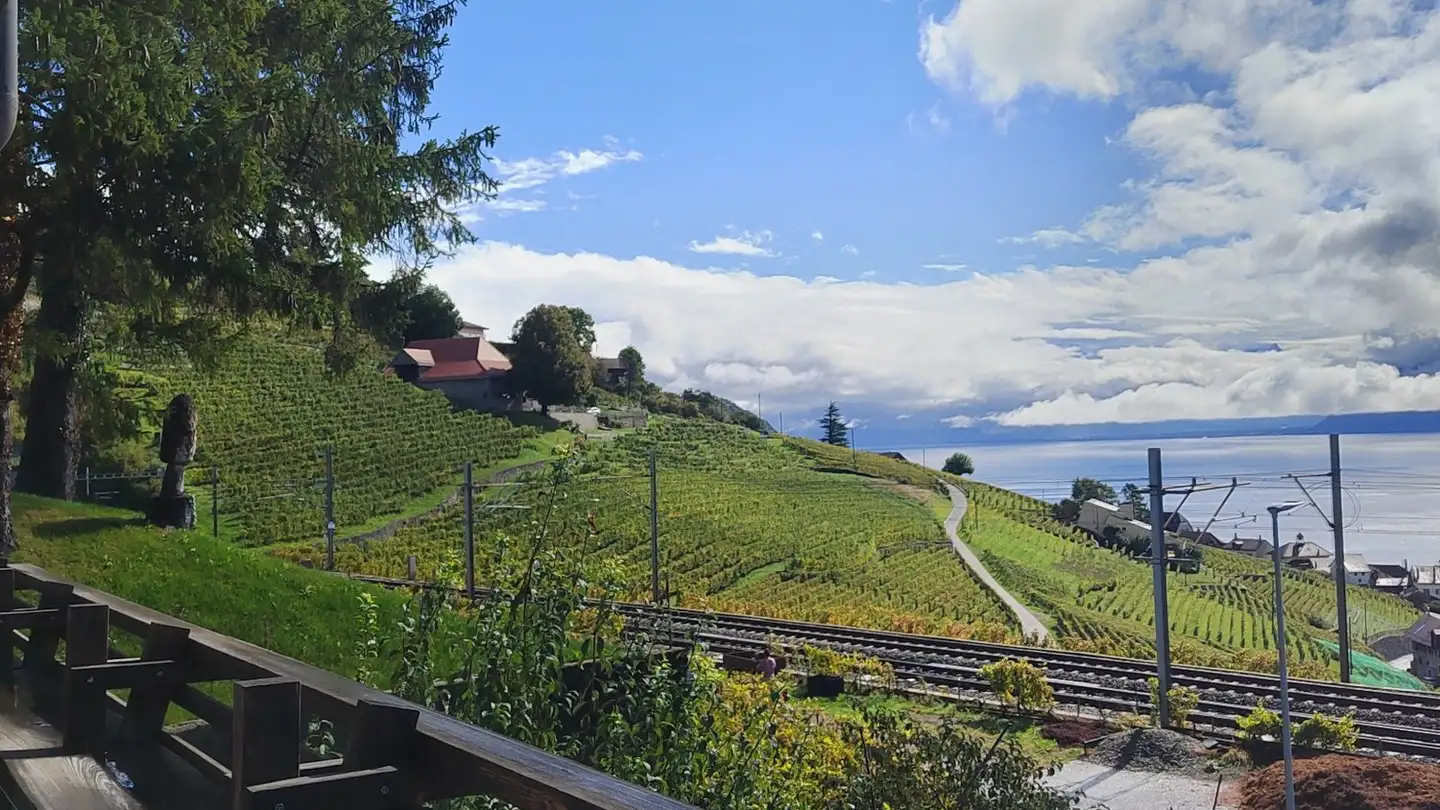 Zimmer mieten - 1091 Grandvaux - Foto 3