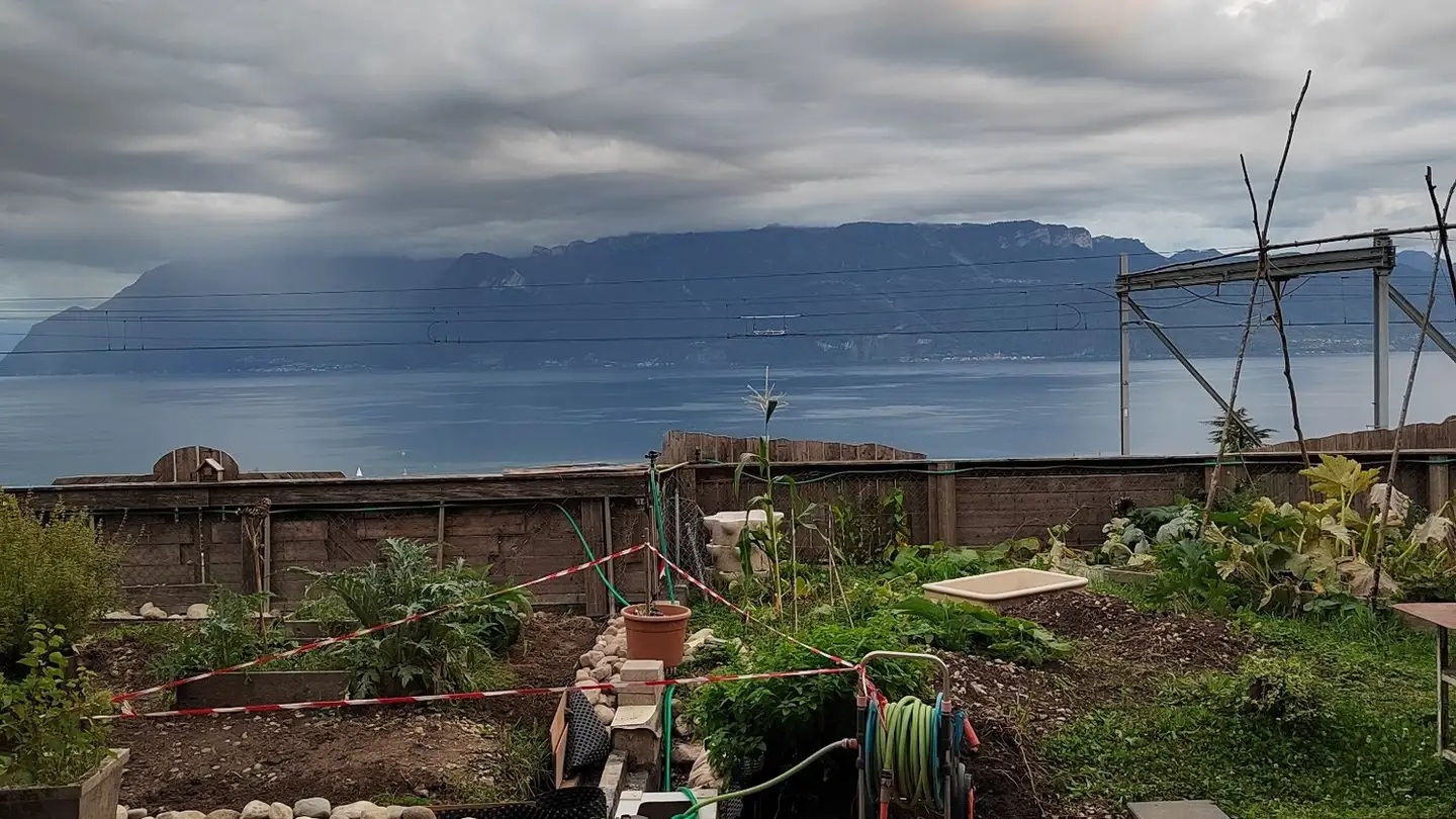 Zimmer mieten - 1091 Grandvaux - Foto 4