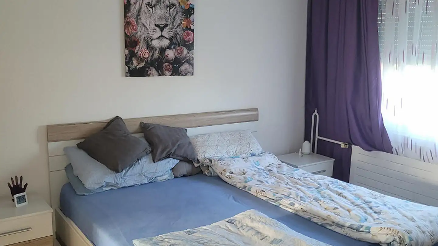 Attico in affitto - Ifangstrasse 20, 8604 Volketswil - Foto 3