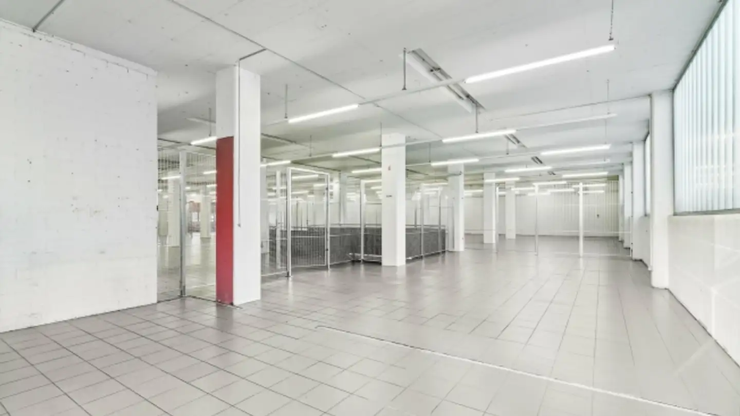 Gewerbe mieten - Oberfeld 4, 6037 Root - Foto 2