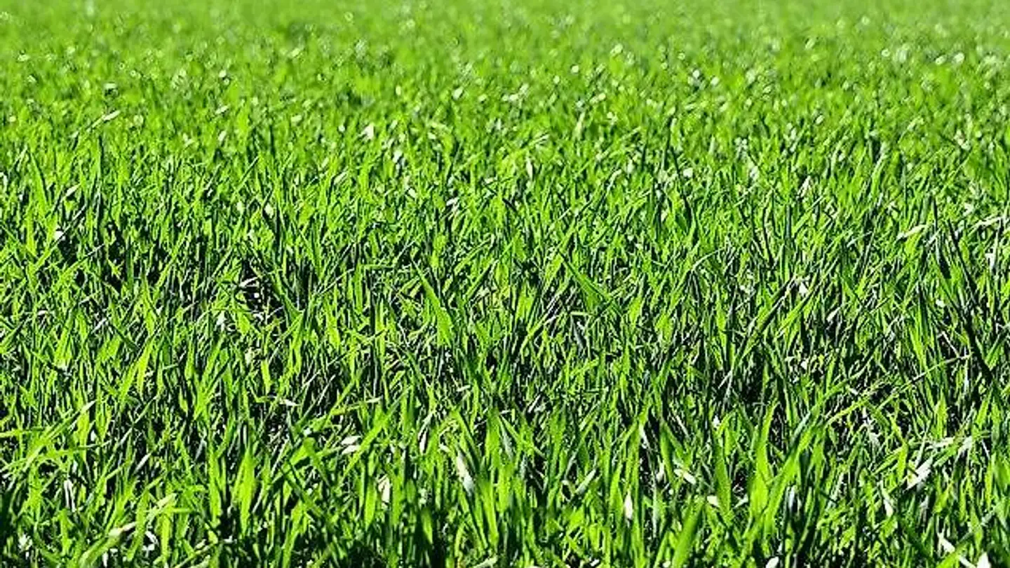 Bauland kaufen - Via Ludiano, 6721 Ludiano