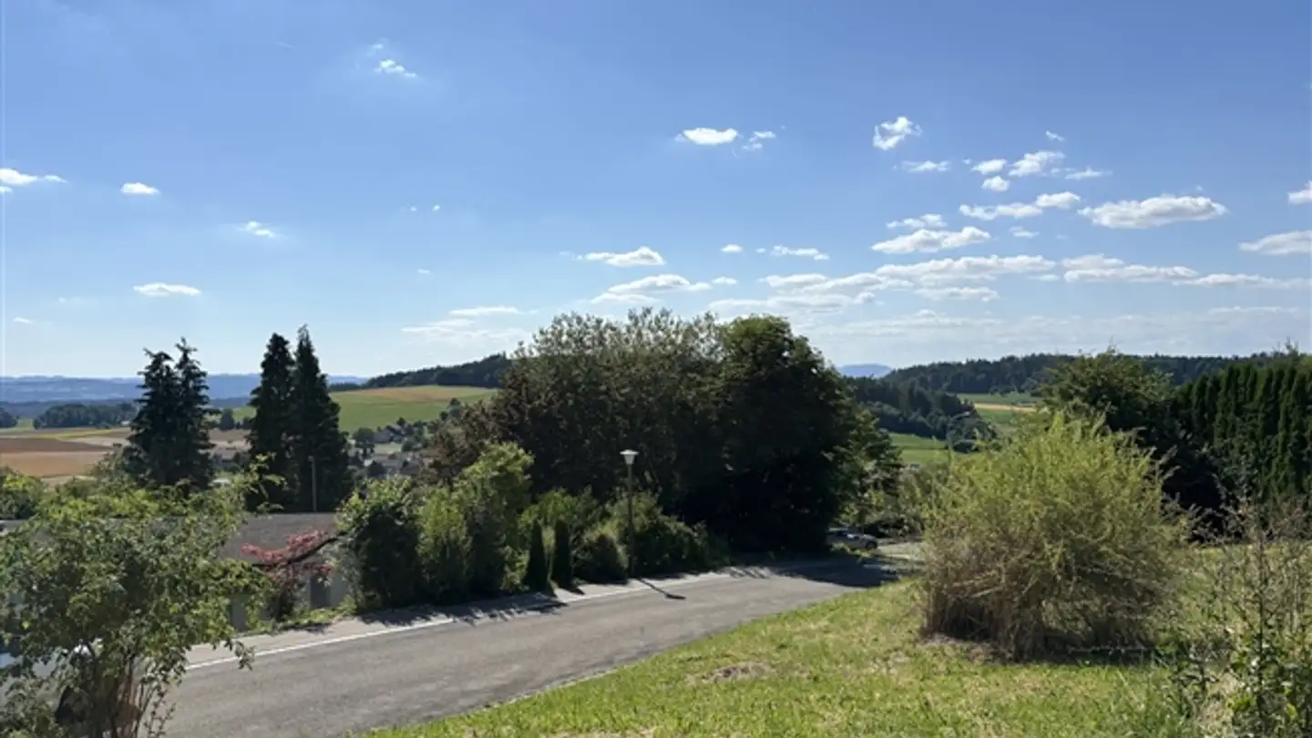 Appartamento in vendita - Leisibüel, 8484 Weisslingen