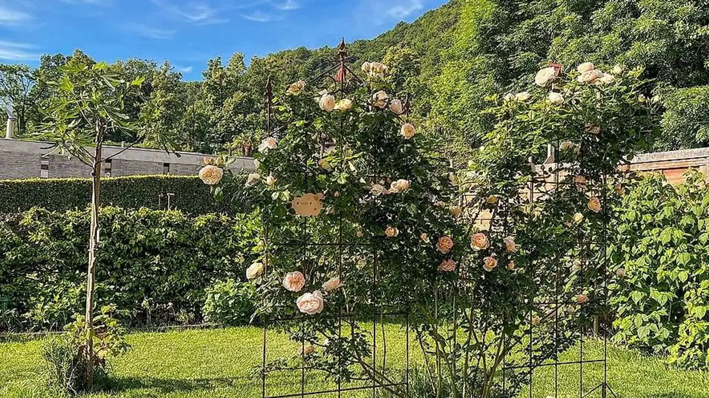 Casa a schiera in affitto - Via Ai Grotti 8a, 6618 Arcegno - Foto 3