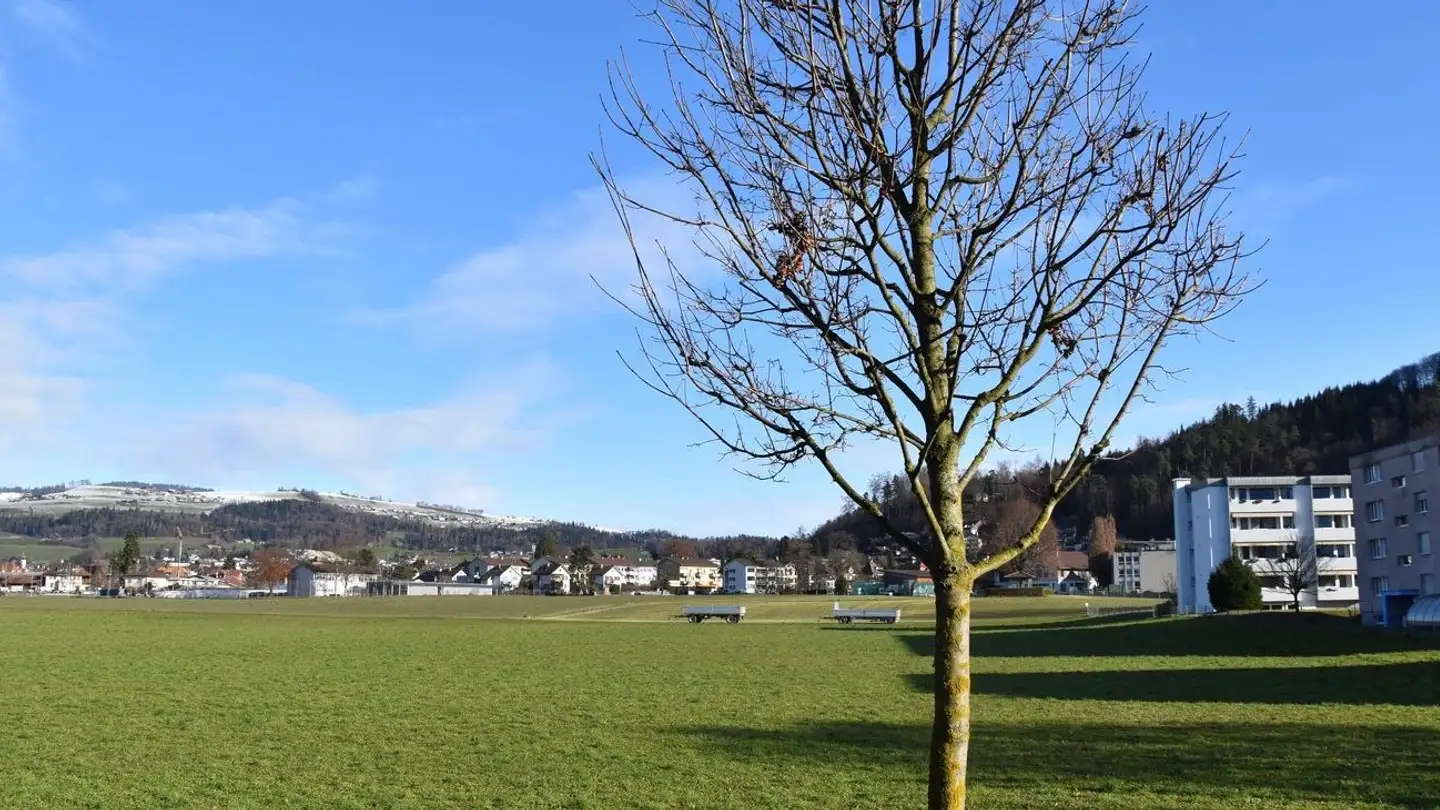 Appartement à louer - Stockhornstrasse 91, 3612 Steffisburg