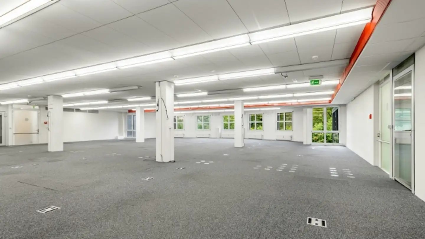 Commercial à louer - Lerzenstrasse 10, 8953 Dietikon