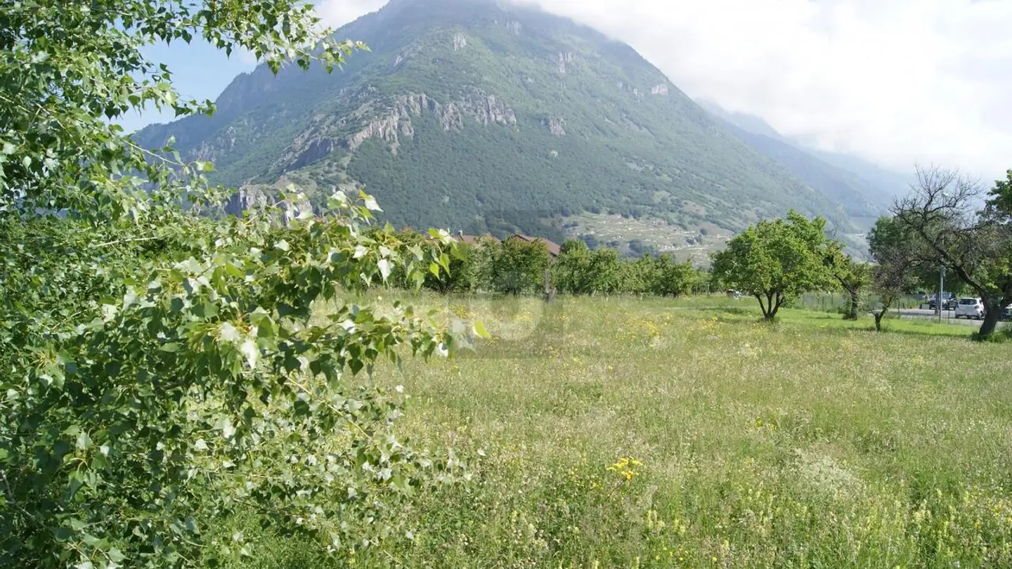 Terreno edificabile industriale in vendita - 1920 Martigny - Foto 3