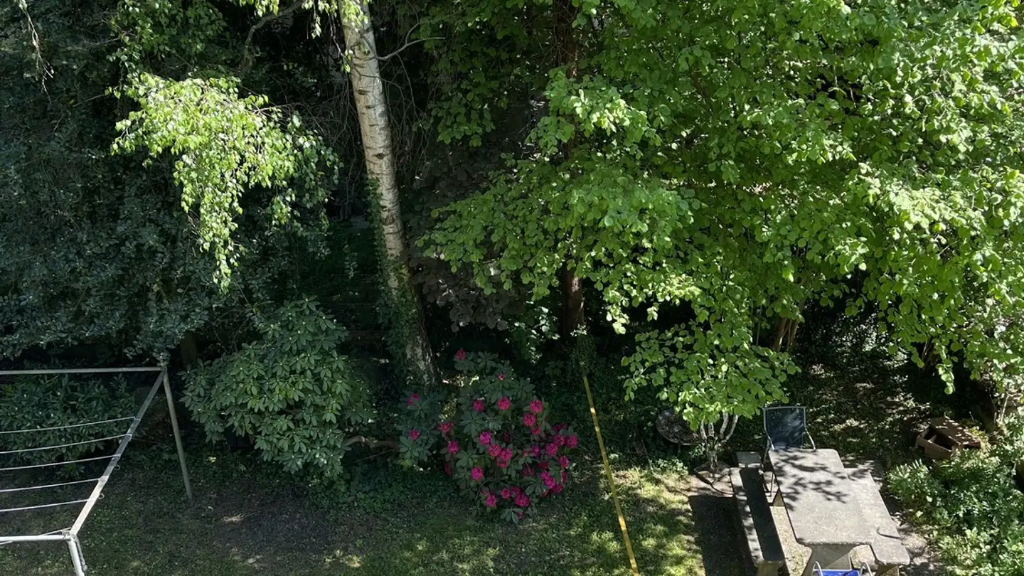 Appartement à louer - Murifeldweg 22, 3006 Bern - Photo 3