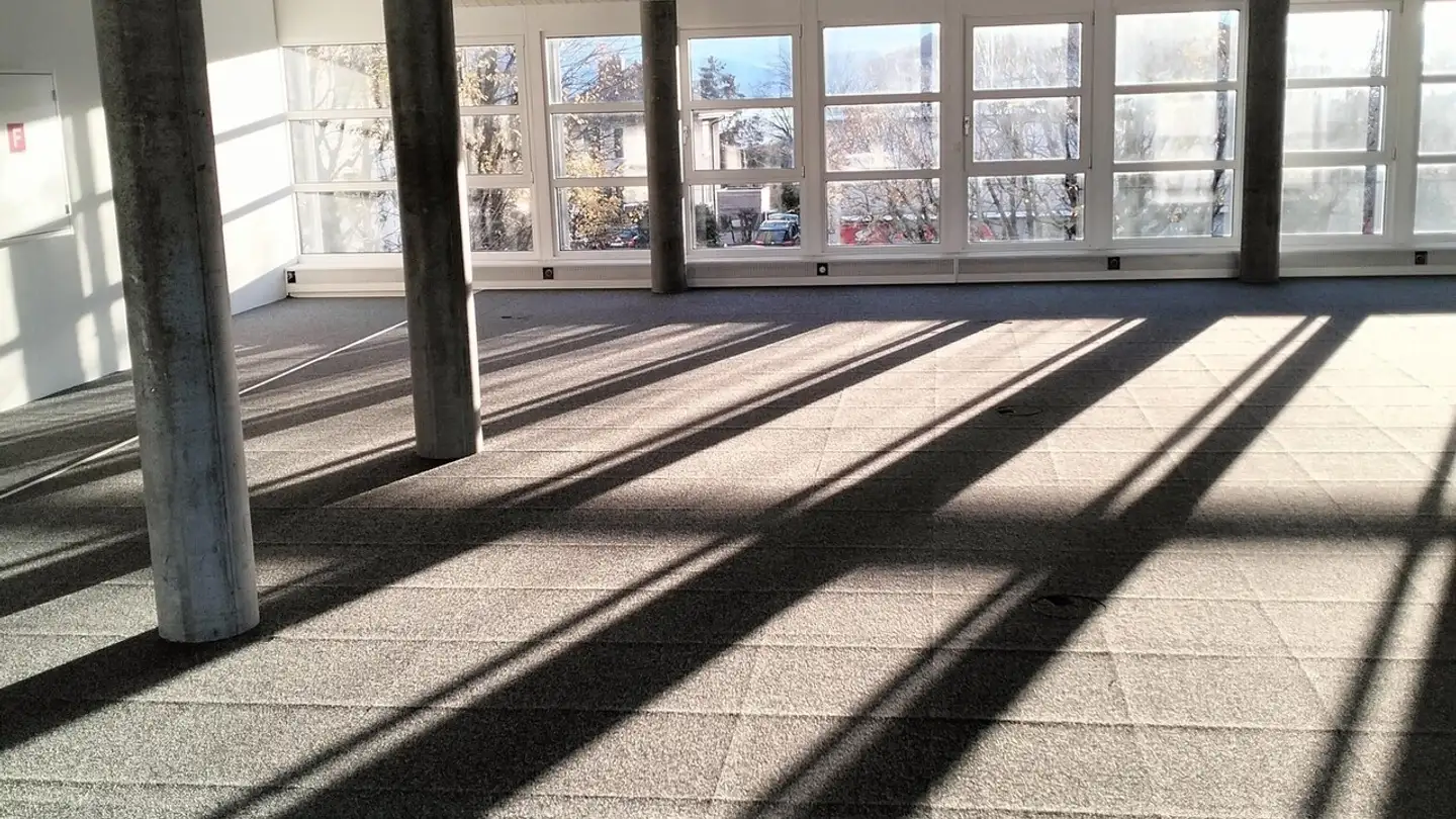 Gewerbe mieten - Avenue De Longemalle, 1020 Renens VD - Foto 4