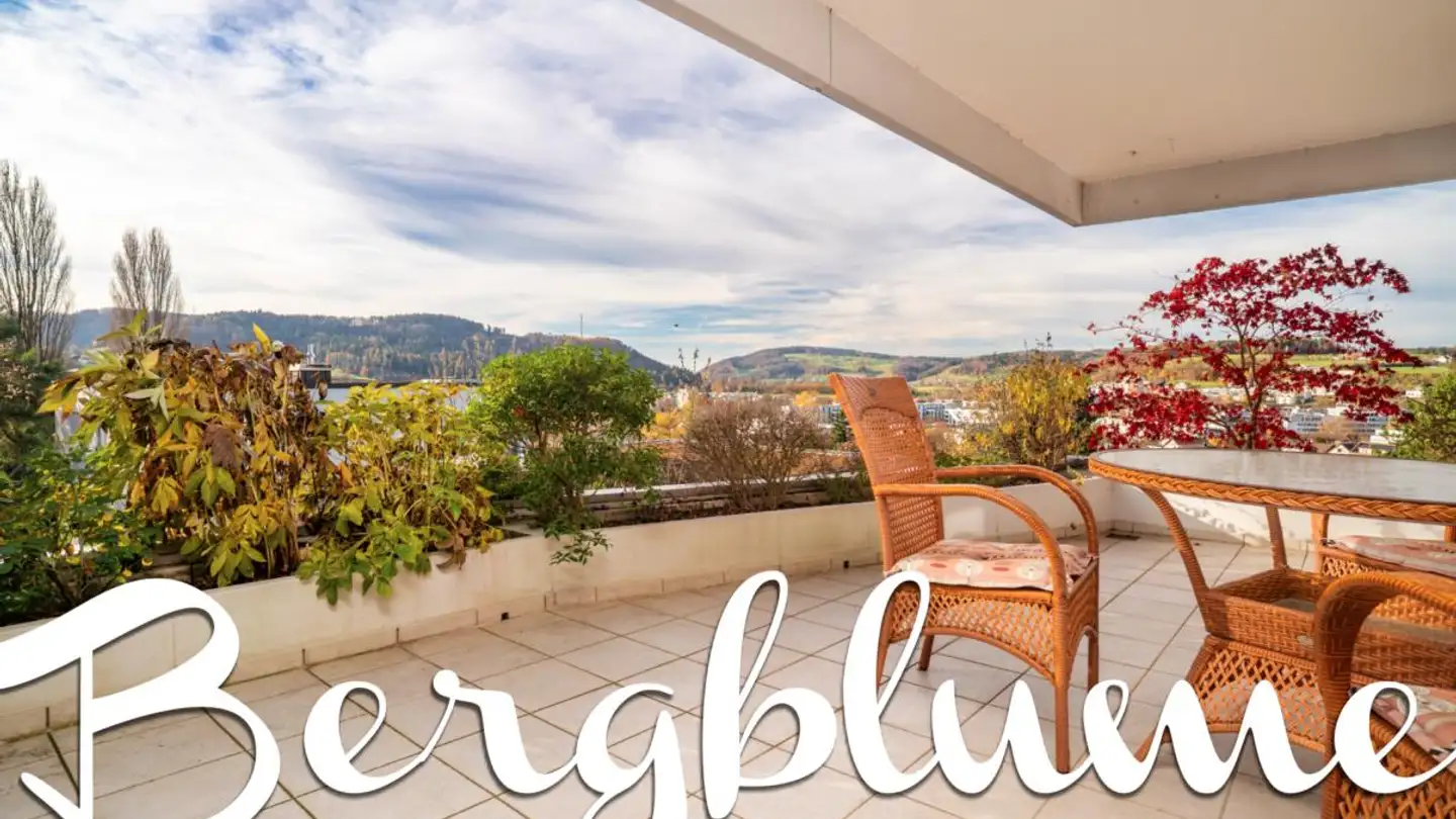 Appartement à vendre - Bergblumenstrasse 42, 8408 Winterthur