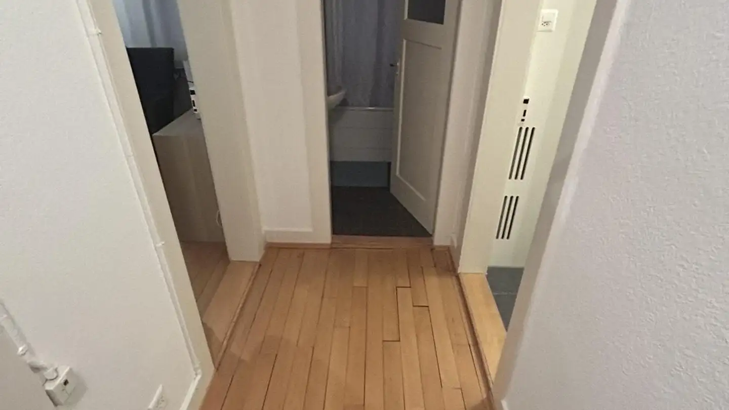 Appartamento in affitto - Salstrasse 58, 8400 Winterthur - Foto 4