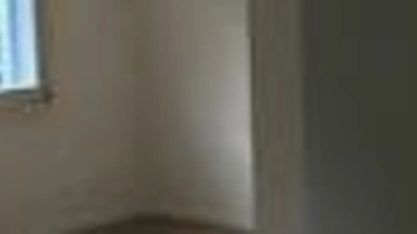 Appartement à louer - Sihltalstrasse 87, 8135 Langnau am Albis - Photo 4