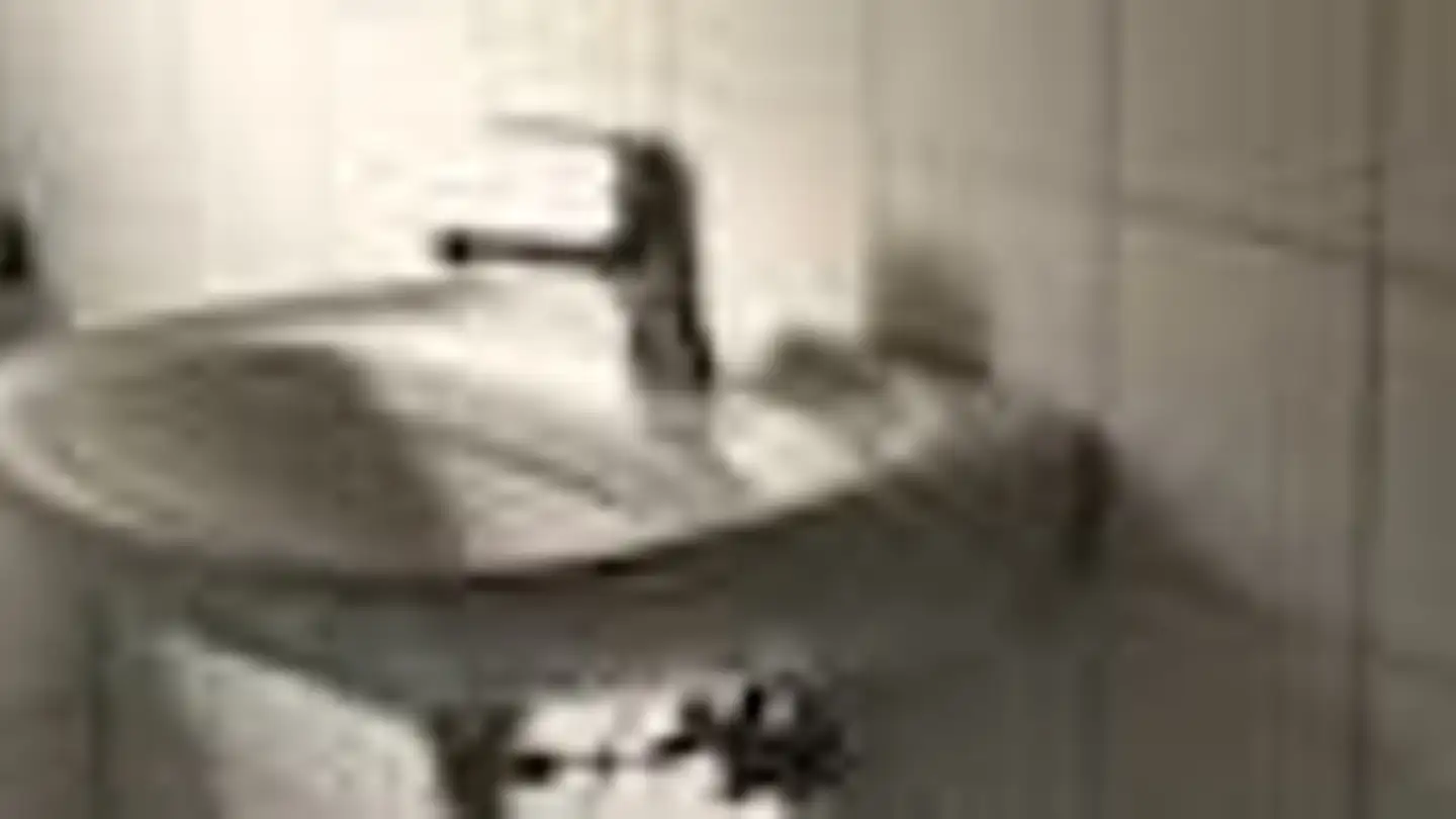 Appartement à louer - Sihltalstrasse 87, 8135 Langnau am Albis - Photo 3