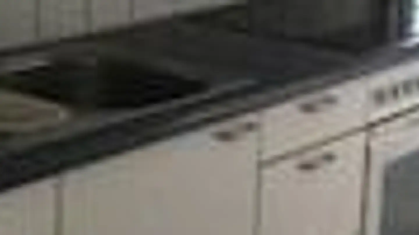 Appartement à louer - Sihltalstrasse 87, 8135 Langnau am Albis - Photo 2