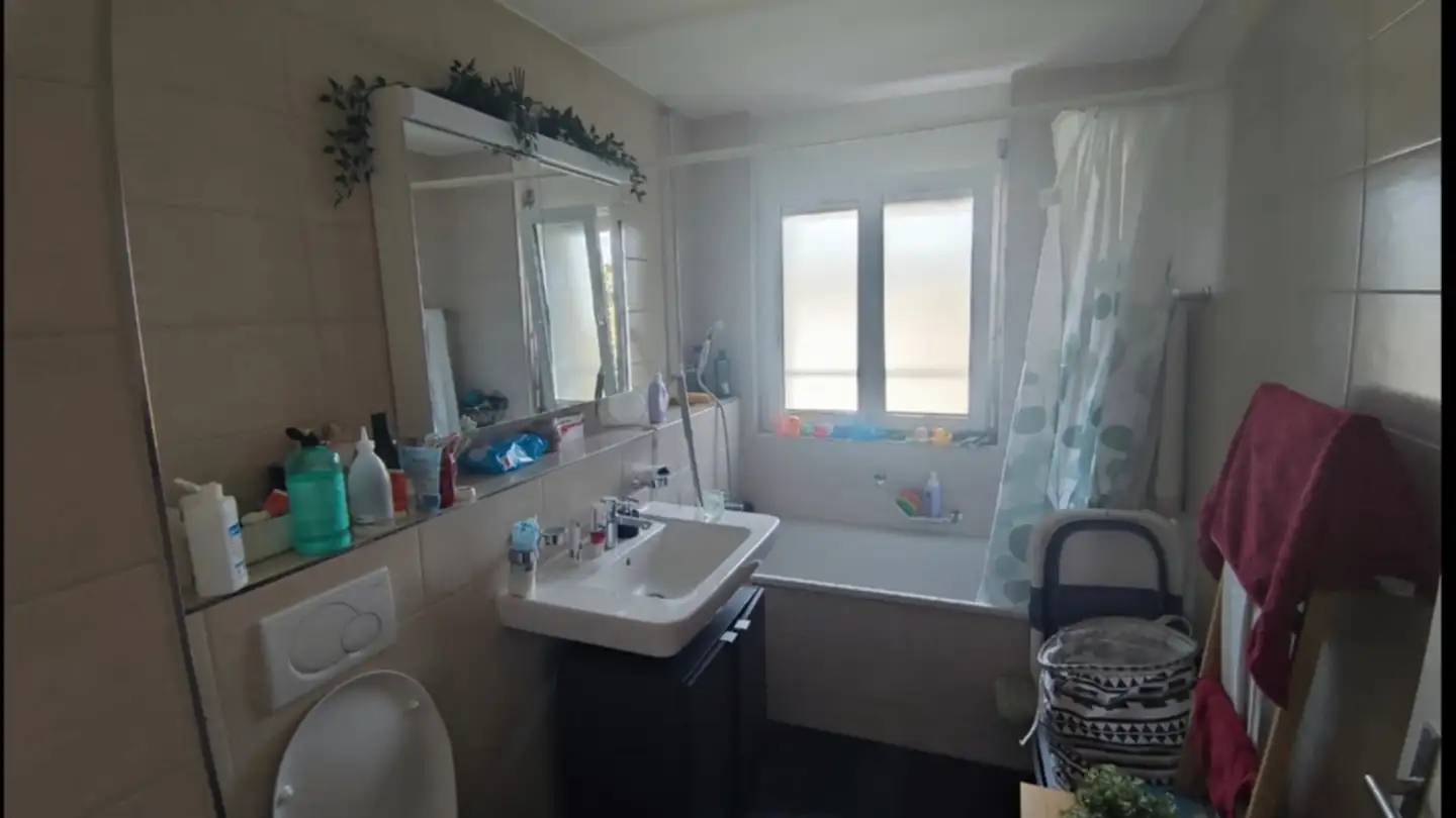 Appartamento in affitto - 8603 Schwerzenbach - Photo 4