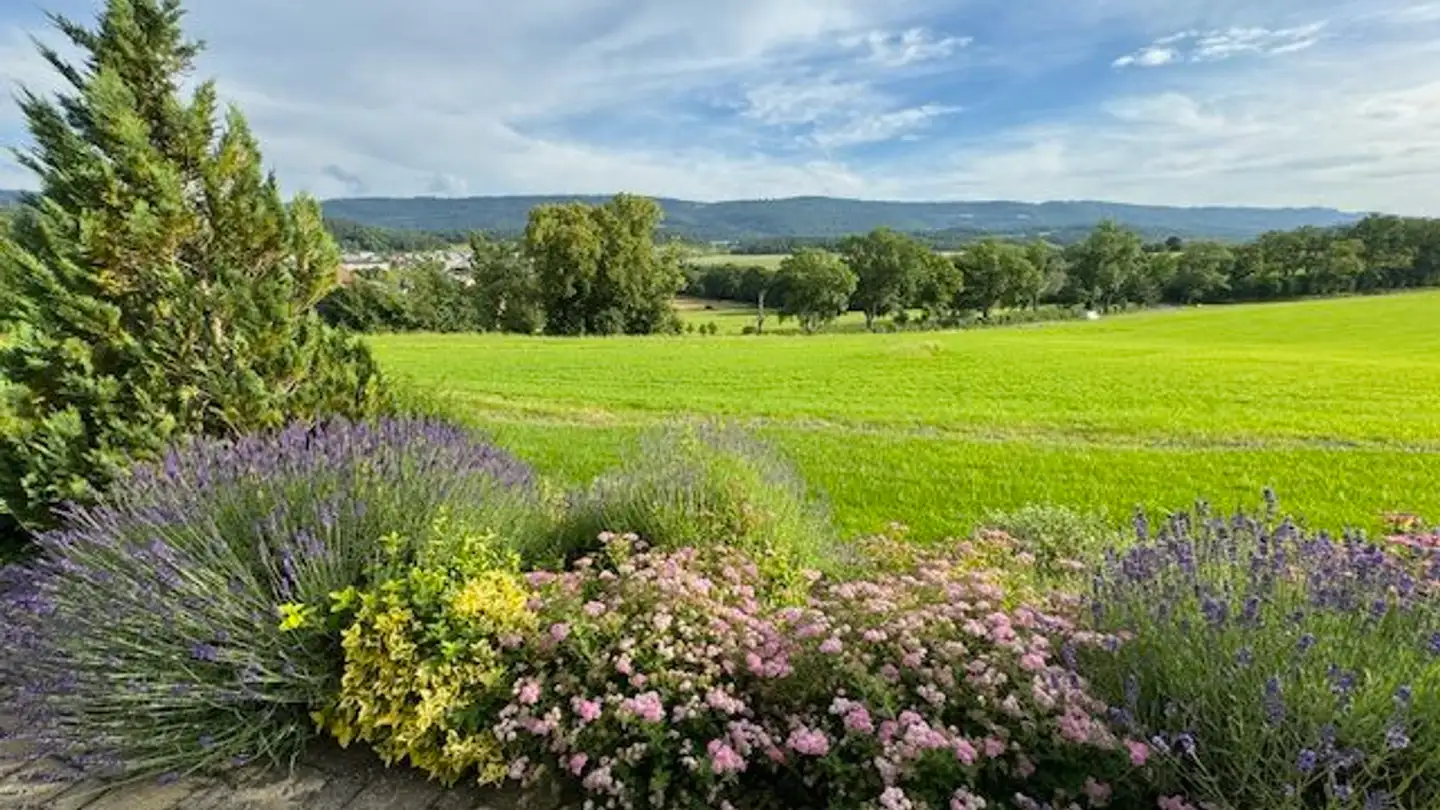 Einfamilienhaus kaufen - Rue Du Jura, 2900 Porrentruy - Foto 4