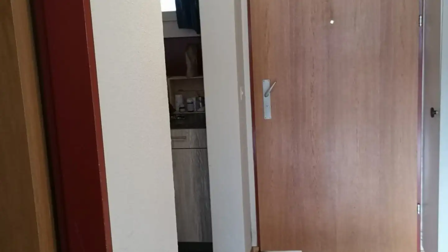 Studio for rent - Adelbodenstrasse 21, 3714 Frutigen - Photo 4