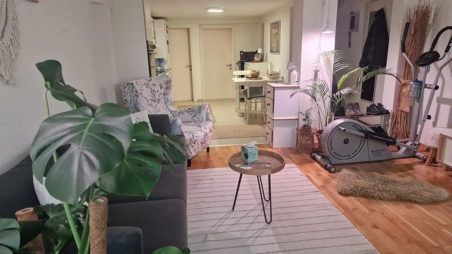 Duplex for rent - Alte St. Gallerstrasse 25, 8352 Elsau