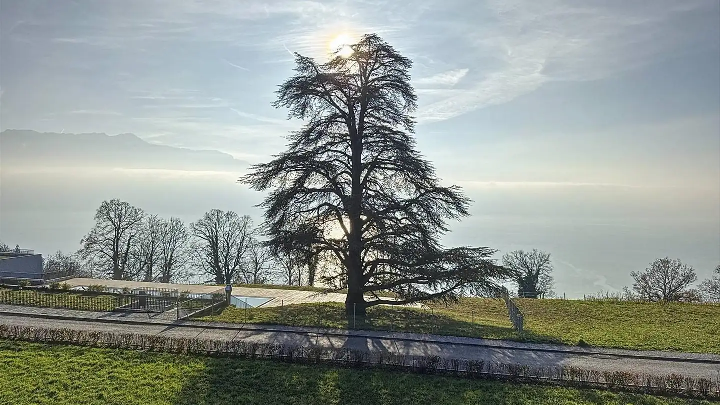 Appartamento in vendita - 1070 Puidoux - Photo 2