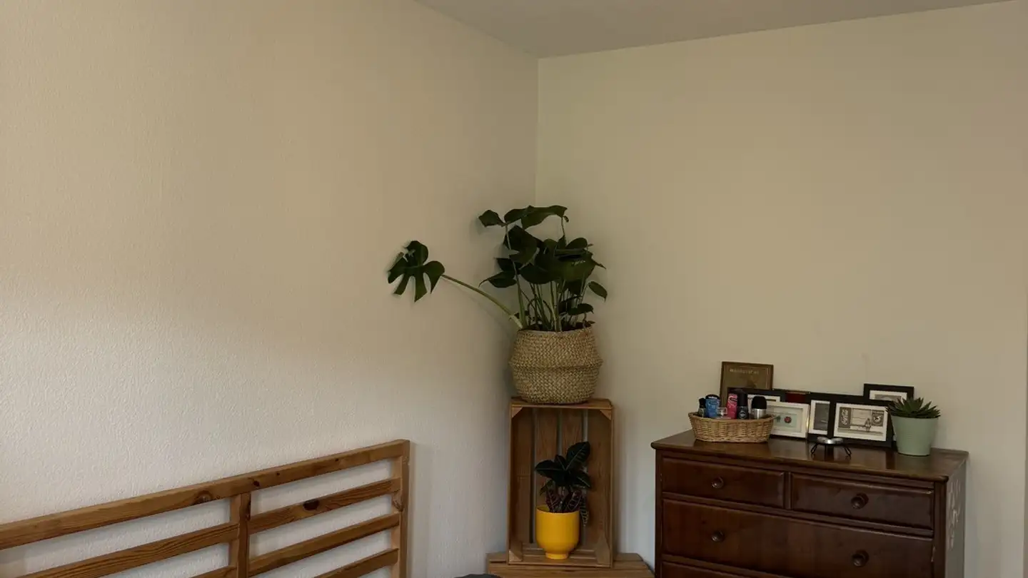 Single room for rent - Hörnlistrasse 2, 8057 Zürich