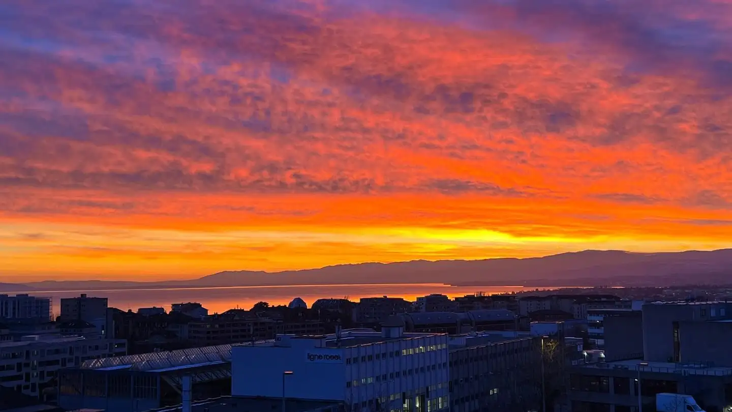 Wohnung mieten - Rue De Genève 56, 1004 Lausanne