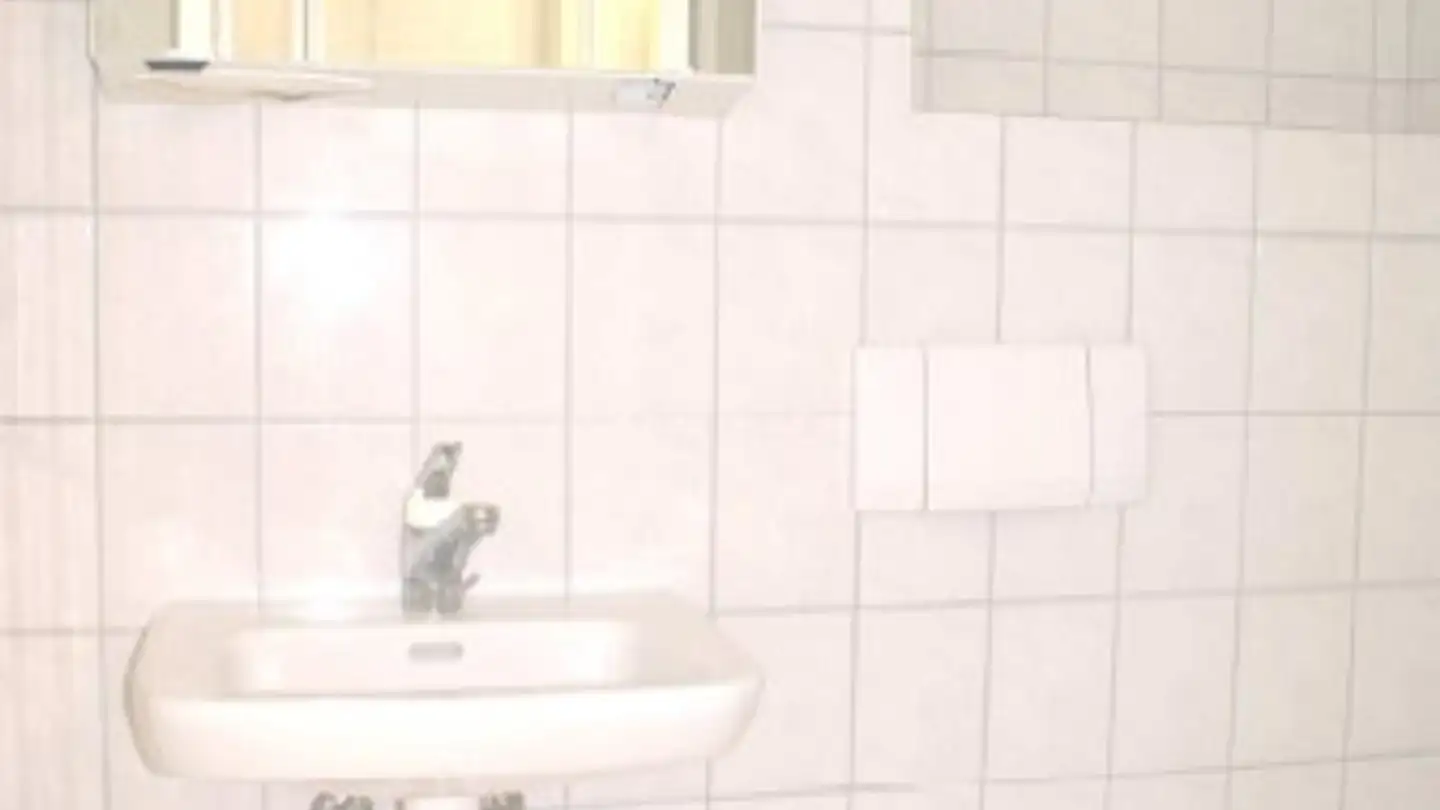 Appartamento in affitto - Bahnhofstrasse 3, 8965 Berikon - Foto 4