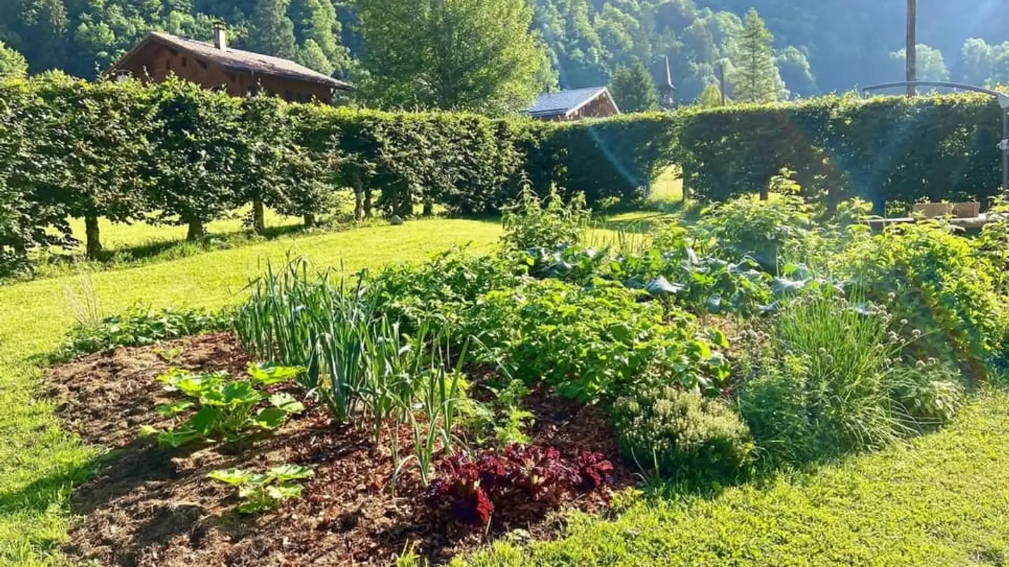 Maison individuelle à louer - Route Du Muveran 8, 1880 Les Plans-sur-Bex - Photo 4