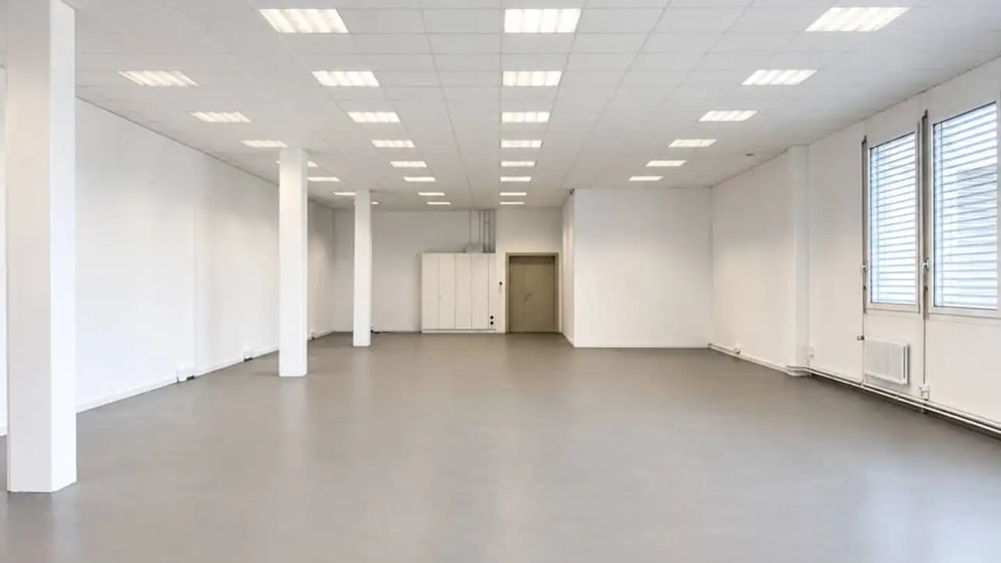 Commercial for rent - Passerelle Du Lignon, 1219 Le Lignon - Photo 3