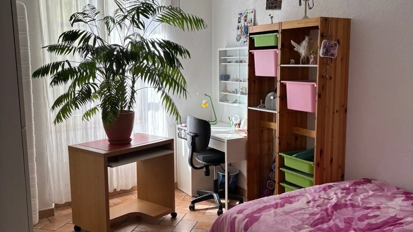 Appartamento in affitto - Via Ugo Canonica 11, 6958 Bidogno - Photo 4