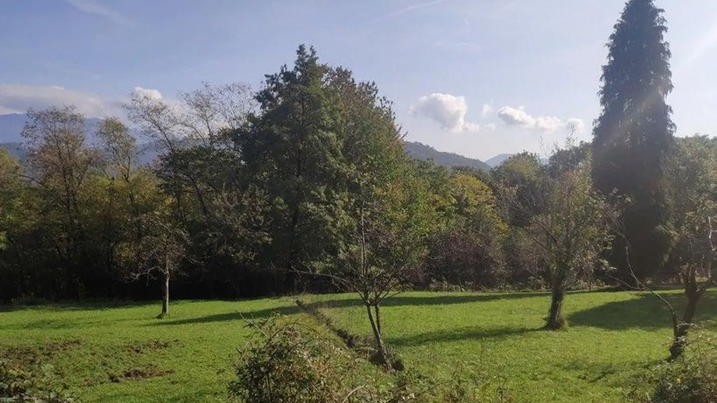 Bien immobilier à vendre - Via Mistomi, 6984 Pura