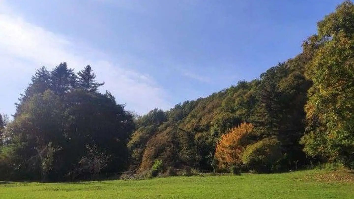 Bien immobilier à vendre - Via Mistomi, 6984 Pura - Photo 2