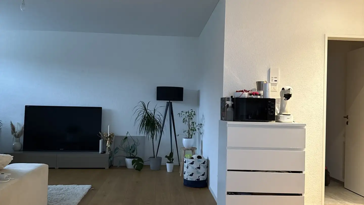 Single room for rent - Eichbergstrasse 1, 9463 Oberriet SG