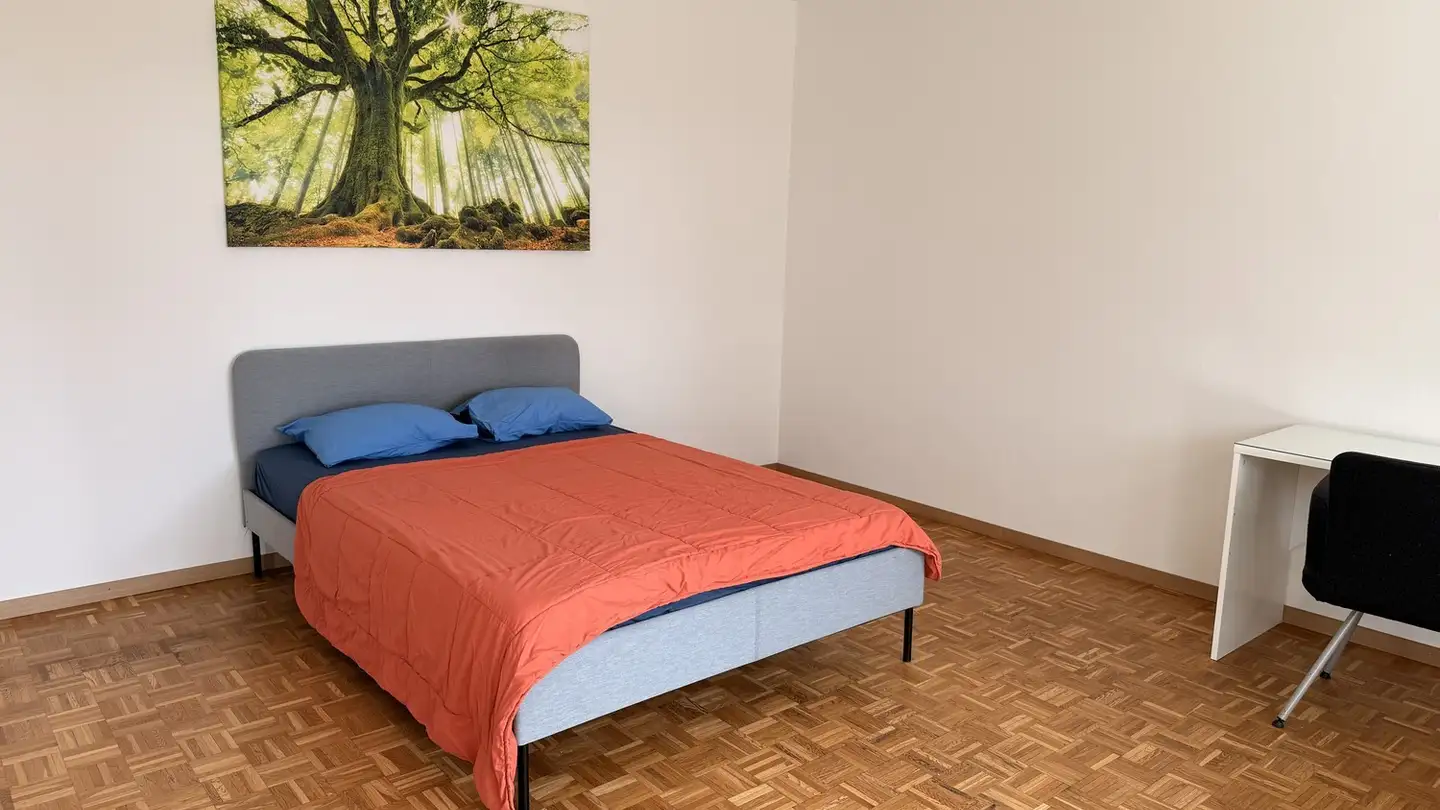 Single room for rent - Buchholzstrasse 117, 8053 Zürich