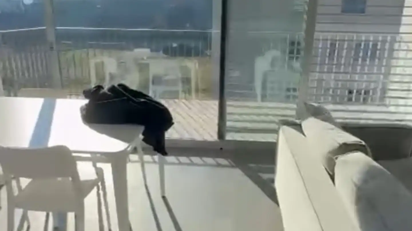 Appartement à louer - Via Prà Di Vizi 10, 6612 Ascona