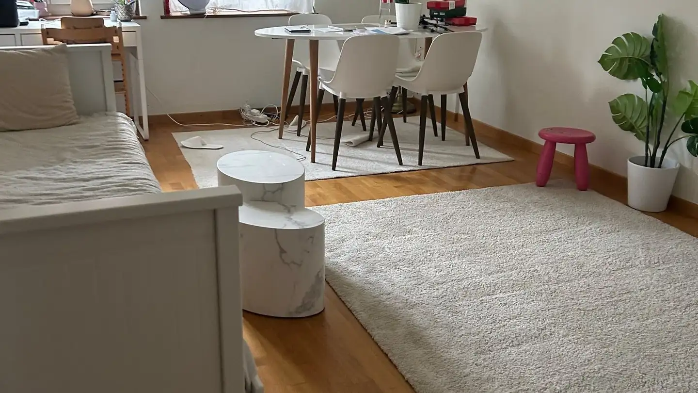 Appartement meublé à louer - Hornbachstrasse 69, 8008 Zürich - Photo 4