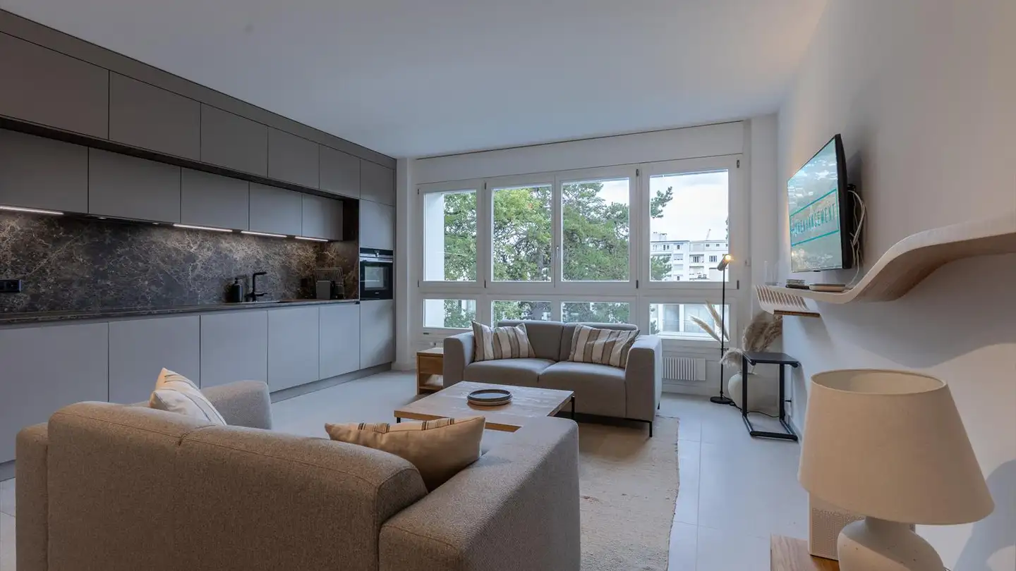 Appartamento in affitto - Rue Albert- Gos 1, 1206 Genève