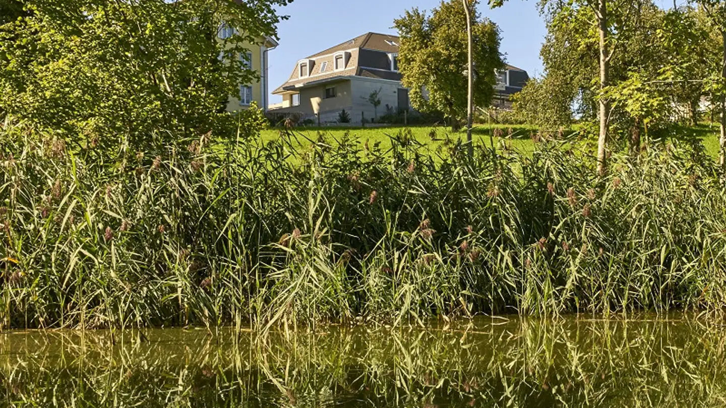 Appartamento in affitto - Ziegeleistrasse 21, 8360 Eschlikon TG - Photo 4