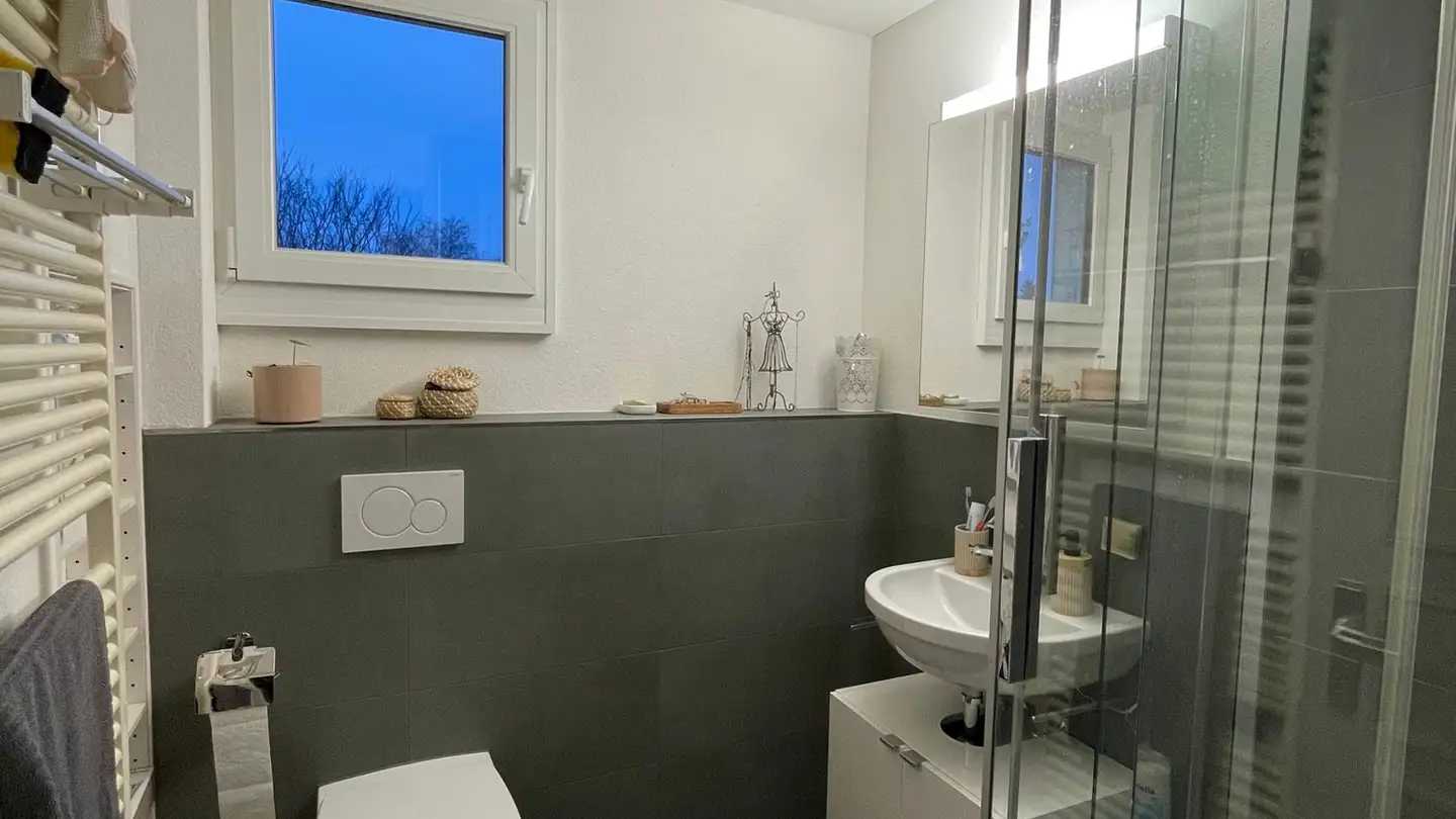 Appartamento in affitto - 3604 Thun - Foto 4