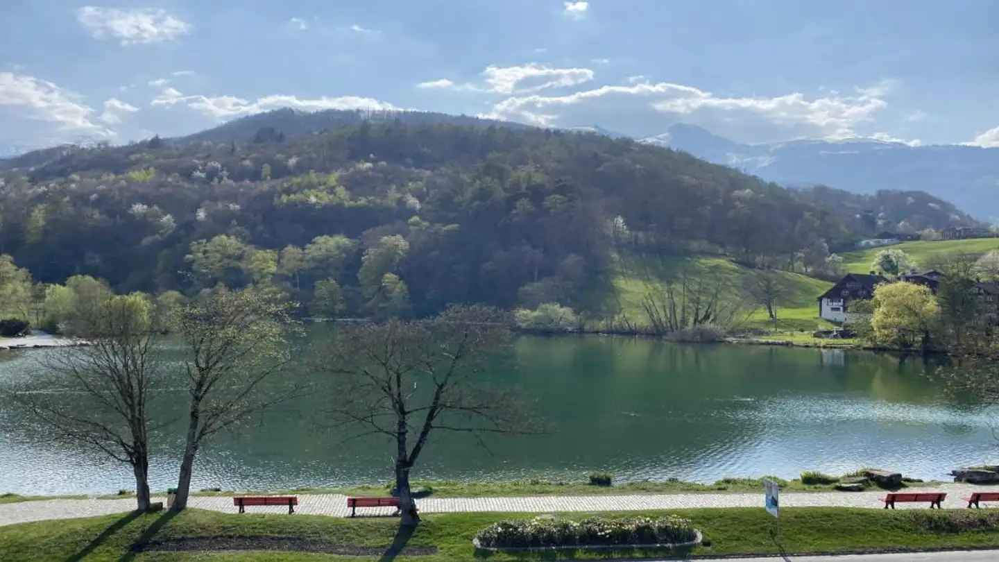 Wohnung kaufen - St. Gallerstrasse 42, 9470 Buchs SG