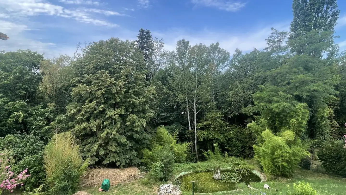Apartment for rent - Chemin De Chantemerle 26, 1260 Nyon - Photo 3