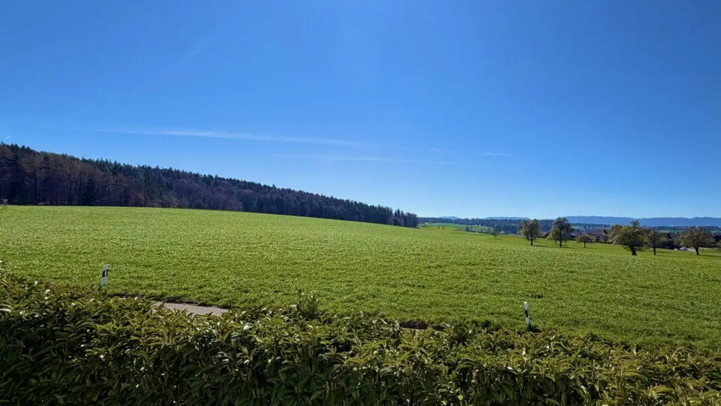 Single house for sale - Guldenenstrasse 3a, 8127 Forch
