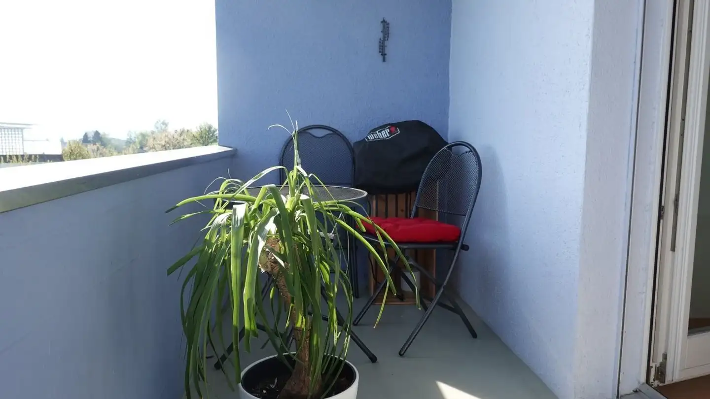 Wohnung mieten - Kofer 237, 5705 Hallwil - Foto 3