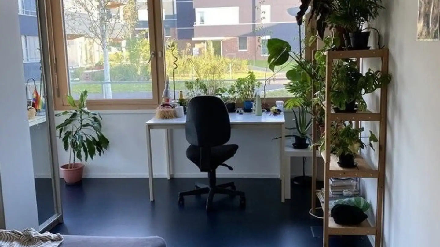 Wohnung mieten - Panoramastrasse 5, 8903 Birmensdorf ZH - Foto 4