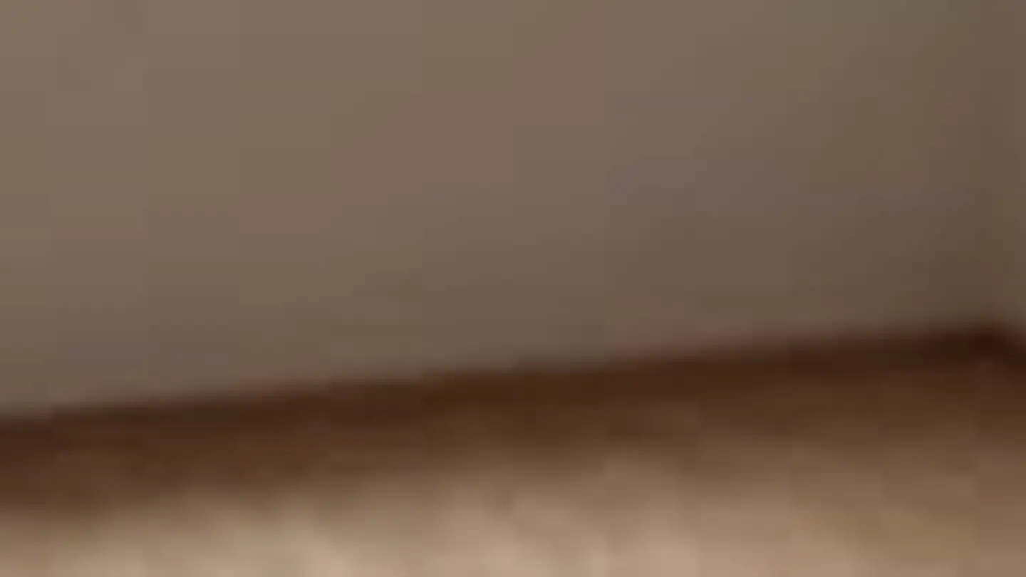 Appartement à louer - Bündtenweg 2, 8964 Rudolfstetten - Photo 3