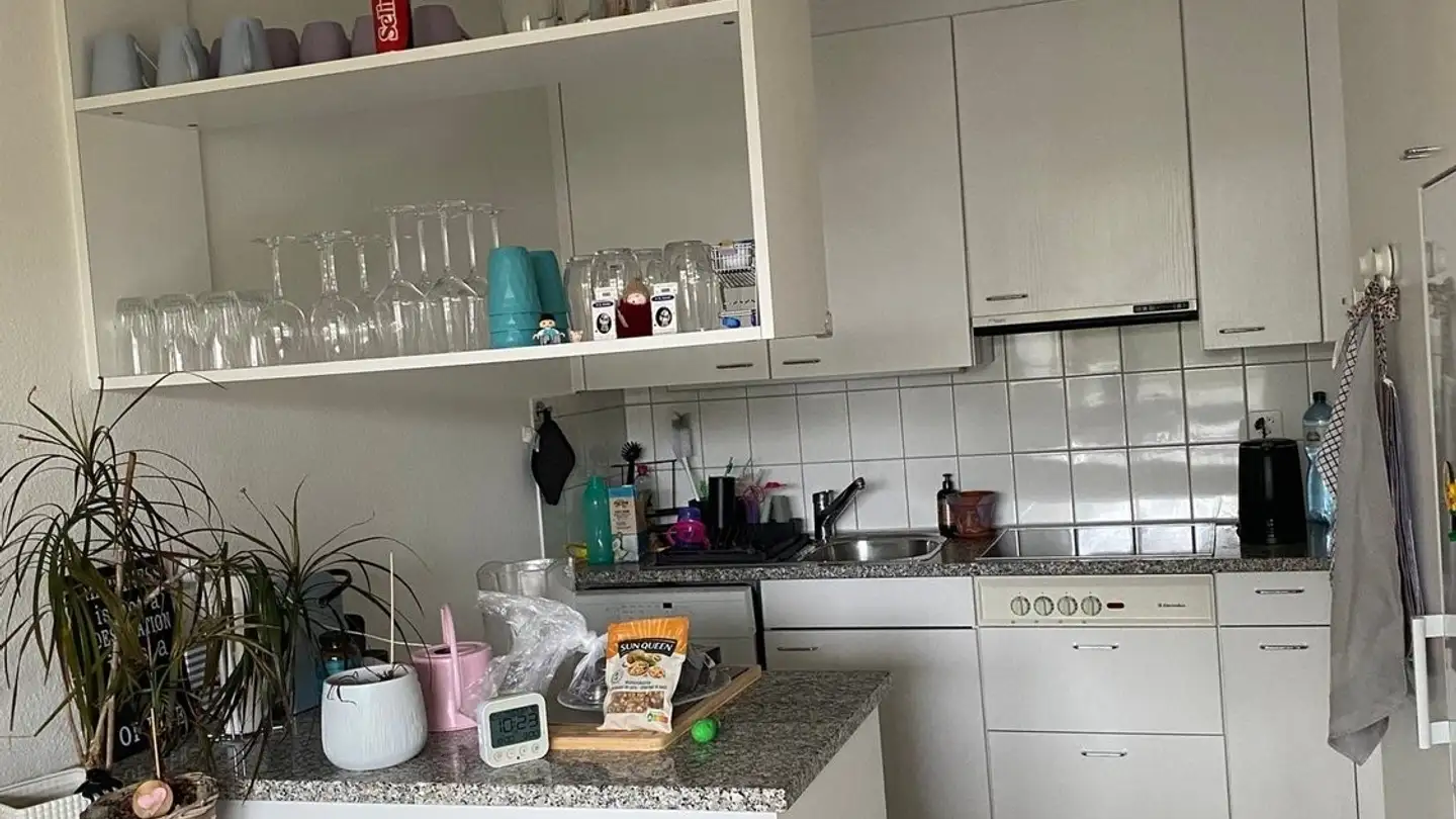 Appartamento in affitto - St. Jakobstrasse 54, 4147 Aesch BL - Photo 2