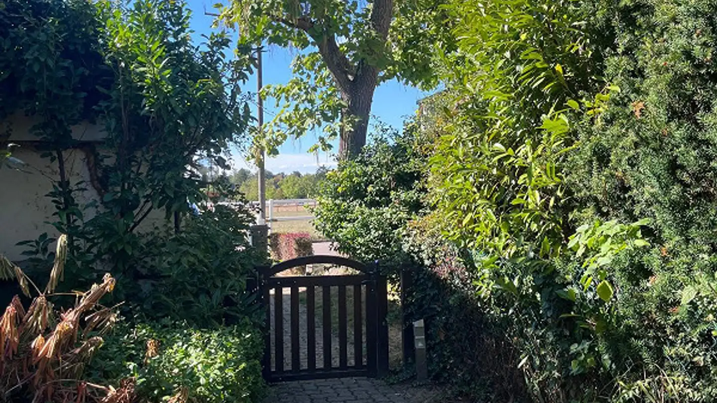 Maison individuelle à louer - Leimgrubenweg 23, 4102 Binningen