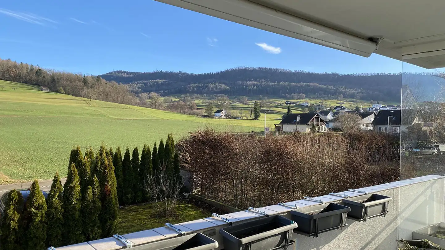 Appartement à vendre - Bodenackerstrasse 32, 4226 Breitenbach